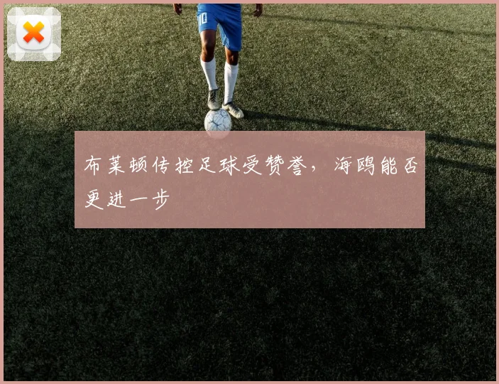 布莱顿传控足球受赞誉,海鸥能否更进一步