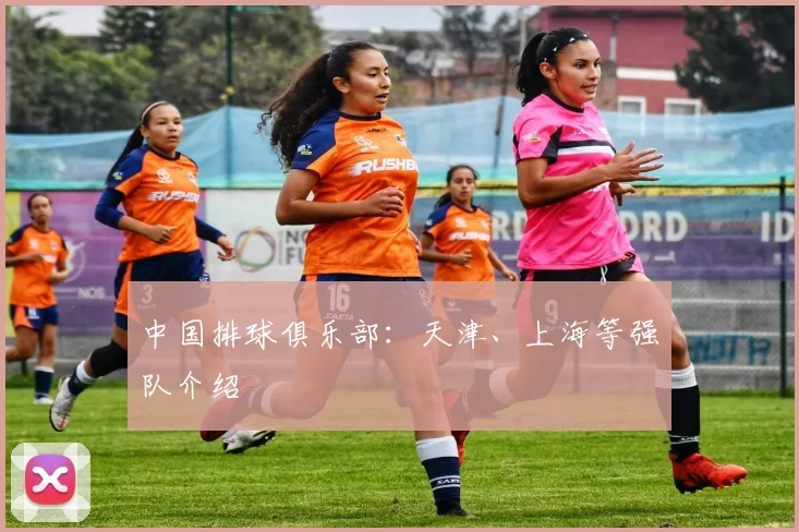 中国排球俱乐部:天津、上海等强队介绍