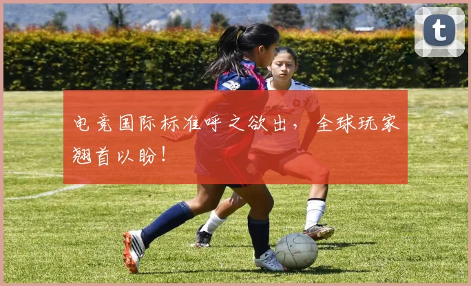 电竞国际标准呼之欲出，全球玩家翘首以盼！